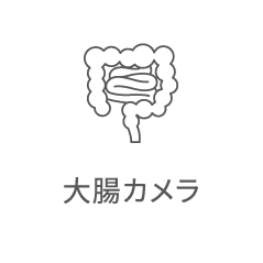大腸カメラ（大腸内視鏡検査）